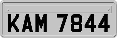 KAM7844