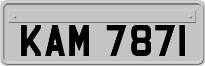 KAM7871