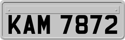 KAM7872