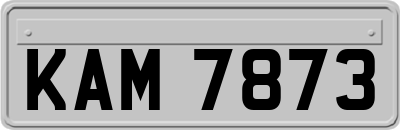 KAM7873