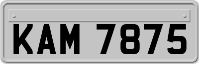 KAM7875