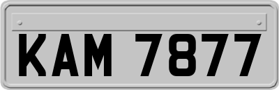 KAM7877