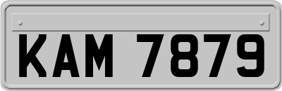 KAM7879