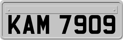 KAM7909
