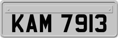 KAM7913