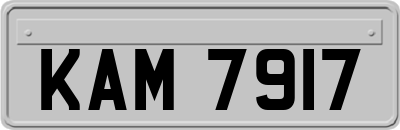 KAM7917