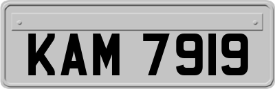 KAM7919