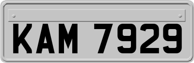 KAM7929