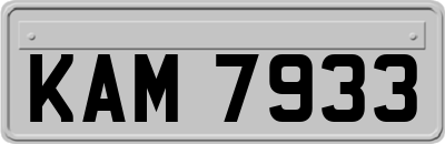 KAM7933