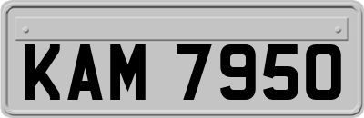 KAM7950