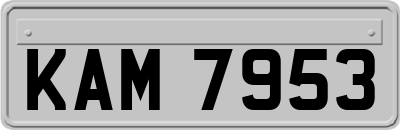KAM7953
