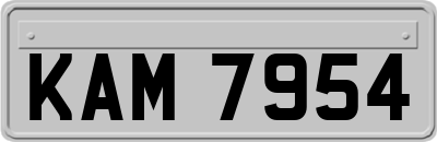 KAM7954