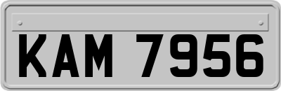 KAM7956