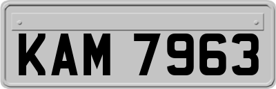 KAM7963