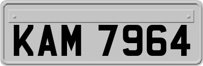 KAM7964