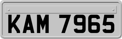 KAM7965