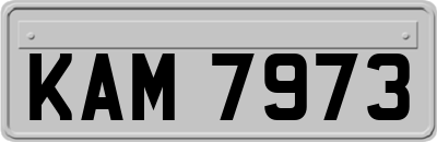 KAM7973