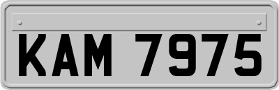 KAM7975
