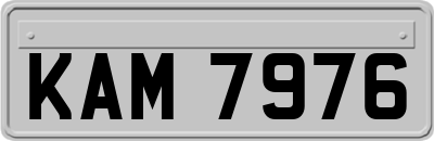 KAM7976