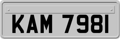 KAM7981
