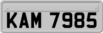 KAM7985