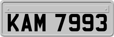 KAM7993