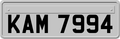 KAM7994