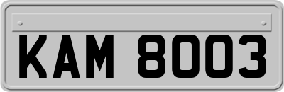 KAM8003