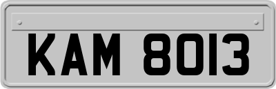KAM8013