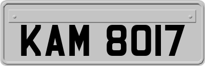 KAM8017