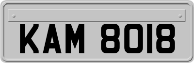 KAM8018