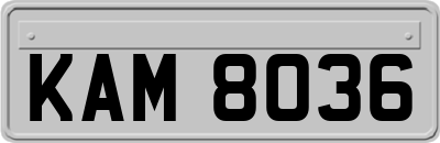 KAM8036