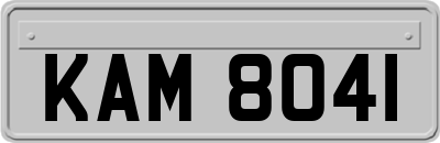 KAM8041