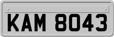 KAM8043
