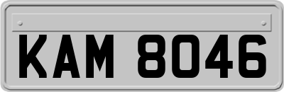 KAM8046