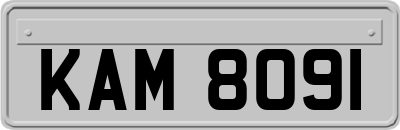 KAM8091