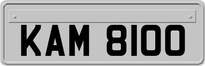KAM8100