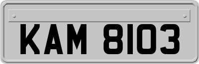 KAM8103