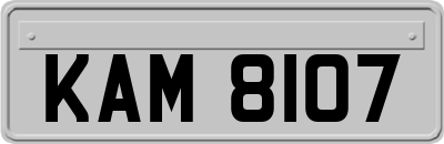 KAM8107