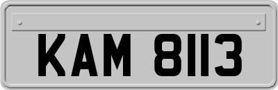 KAM8113