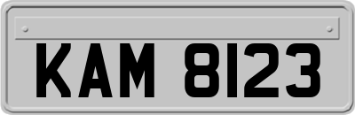 KAM8123