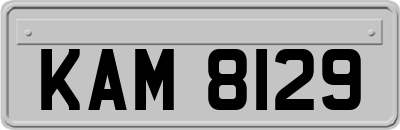 KAM8129