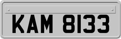 KAM8133