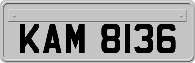 KAM8136