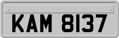 KAM8137