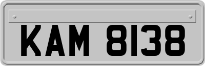 KAM8138