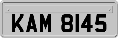 KAM8145