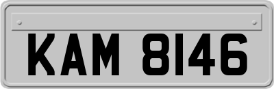 KAM8146