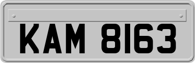 KAM8163