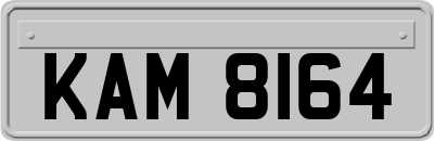 KAM8164